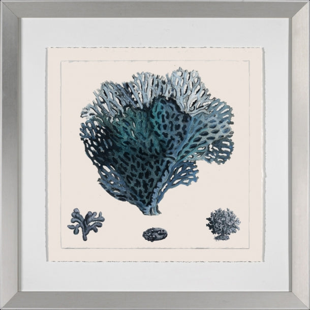 Blue Coral IV 1