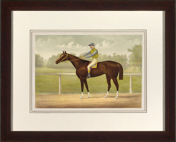 Cameron Jockey II 7