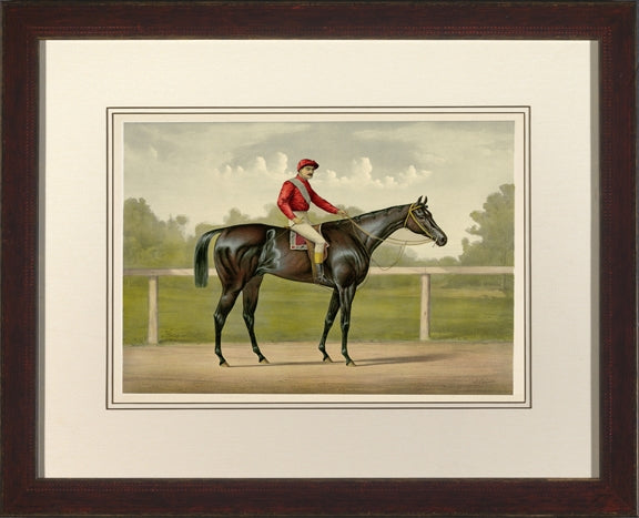 Cameron Jockey I 7