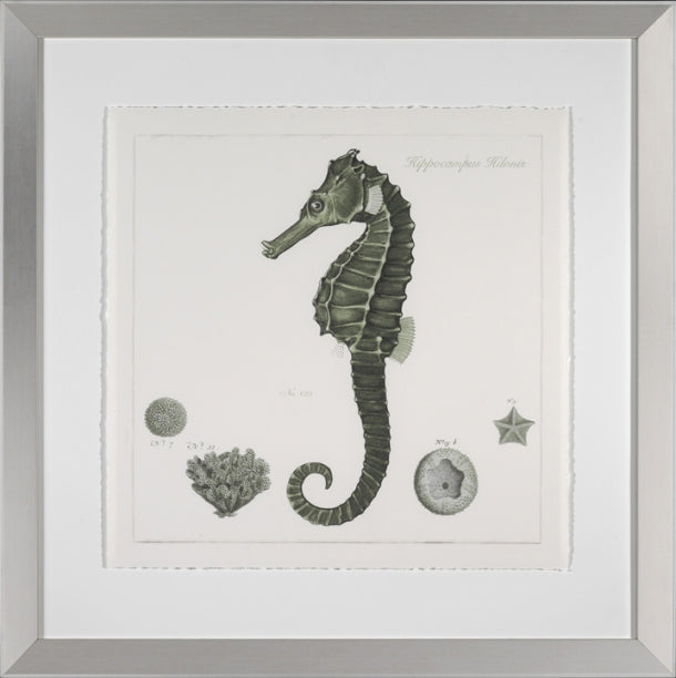 Celadon Seahorse 7