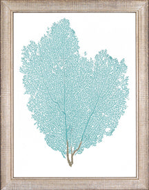 Blue Fan Coral I 8