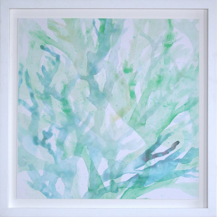 Translucent Ocean Life 1 43W x 43H