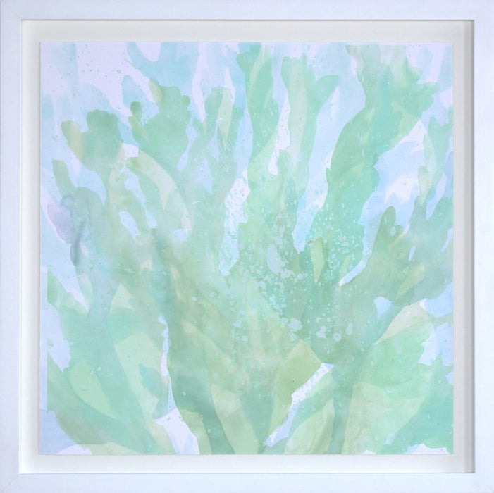 Translucent Ocean Life 4 43W x 43H