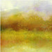 Meadow Reflections 7