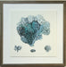  Blue Coral IV 1