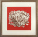 Coral on Red III 8
