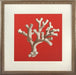 Coral on Red II 8