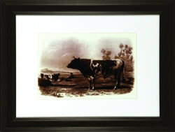 Bovine III 7