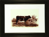 Bovine IV 7