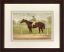 Cameron Jockey II 7
