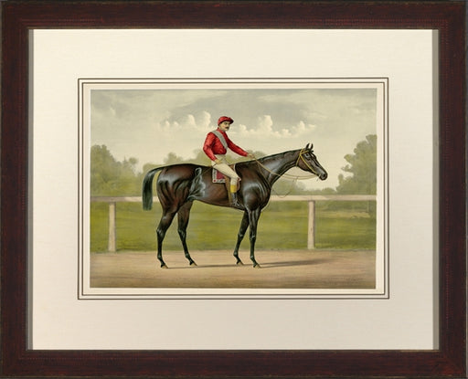Cameron Jockey I 7