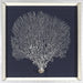 Coral Shadow Box I 7