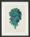 Aqua Coral on Khaki II 8