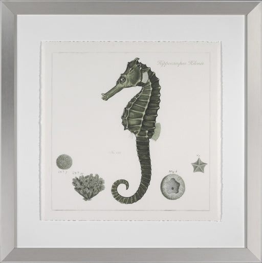 Celadon Seahorse 7