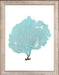 Blue Fan Coral III 8