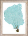 Blue Fan Coral V 8