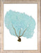 Blue Fan Coral IX 8