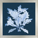 X Ray Seagrass II 7