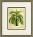 Small Island Palm III 8