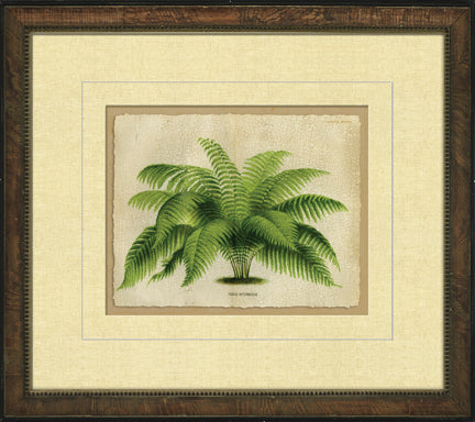 Small Crackled Horizontal Palm I 8