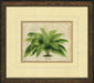 Small Crackled Horizontal Palm I 8