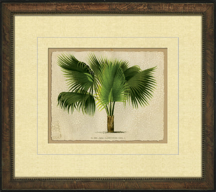 Small Crackled Horizontal Palm III 8