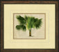 Small Crackled Horizontal Palm III 8