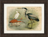 Crackled Great Blue Heron 7