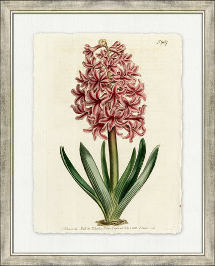 Large Antique Blush Floral V 7