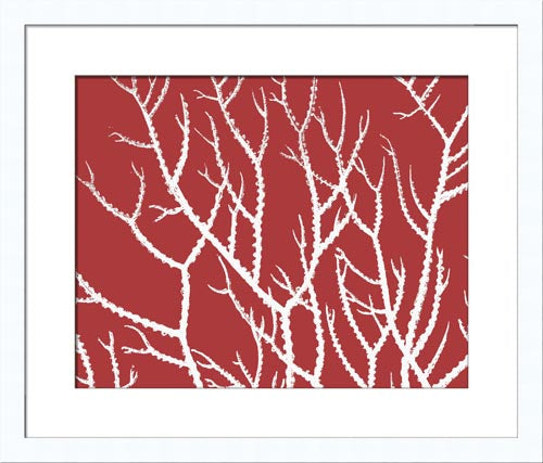 Coral Silhouette II 7