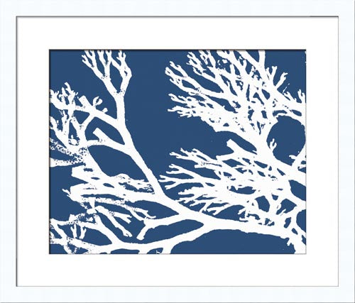 Coral Silhouette III 7