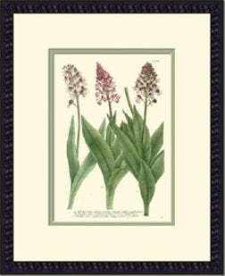  Lilac Blooms Series Set of 2 8