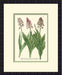  Lilac Blooms Series Set of 2 8