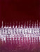 ABST678 Red Pond 