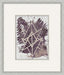 ABST702 Line Exploration 5 22W x 26H