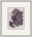 ABST703 Line Exploration 6 22W x 26H