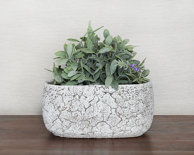 BOWL53 - Small Off White Oval Cement Pot