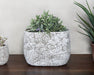 BOWL54 - Large Off White Cement Pot