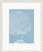 STILL767 Graphic Ocean Collection 10