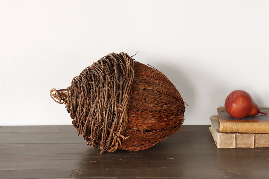 Broom Straw Acorn