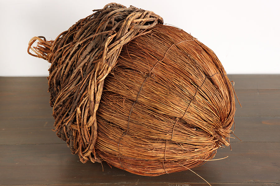 Broom Straw Acorn