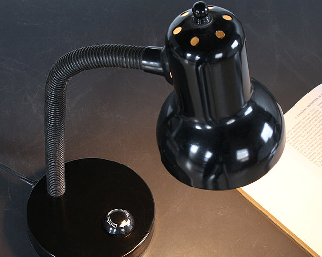 Hose Neck Dimmable Table Lamp